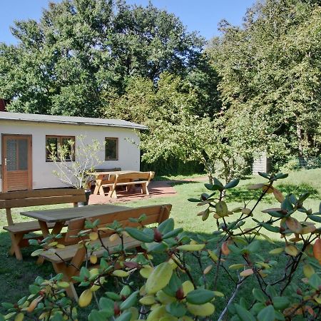 Strandstrasse 60 Ferienwohnung S12 Graal-Mueritz Extérieur photo